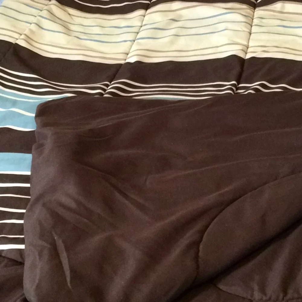 Full Size Comforter with Coordinating Throw Pillow